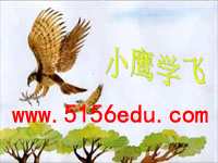 《小鹰学飞》ppt课件1